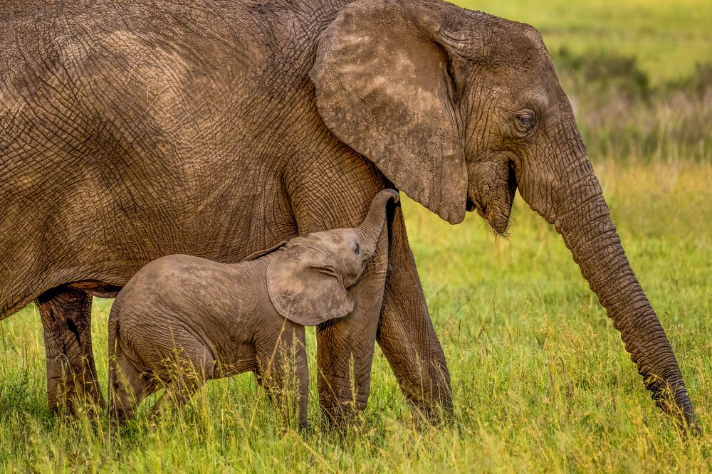 Photograph by Николай Мозгунов