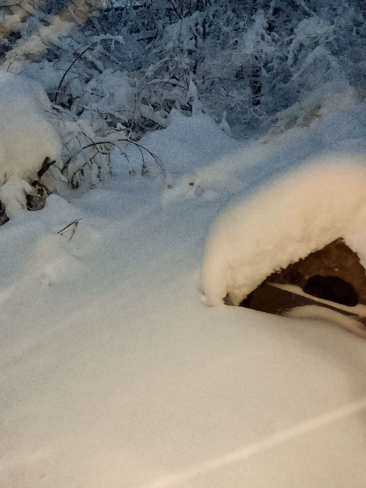 Photograph by Ирина