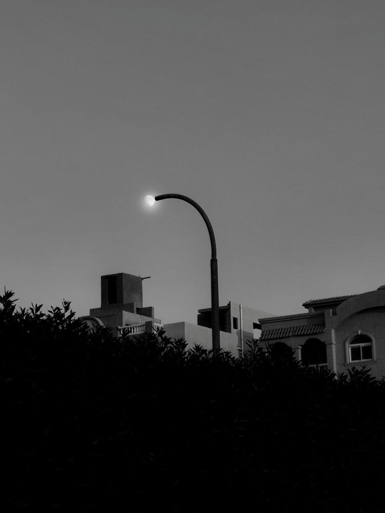 Photograph by Noura Youssef