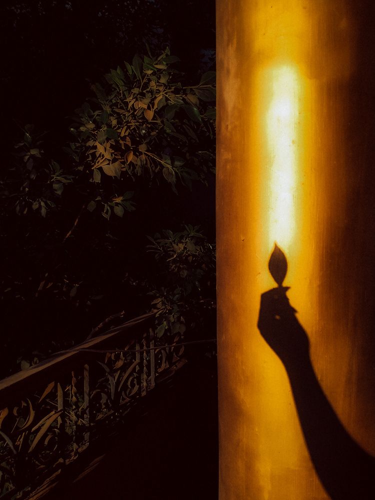 Photograph by Noura Youssef
