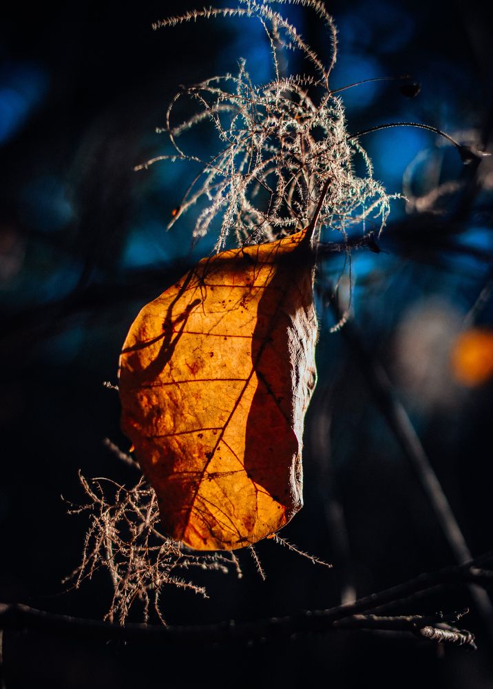 Photograph by Юлия Жукова