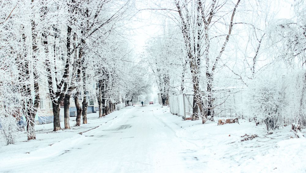 Photograph by Юлия Жукова