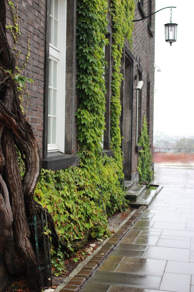 Photograph by Юлия Жукова