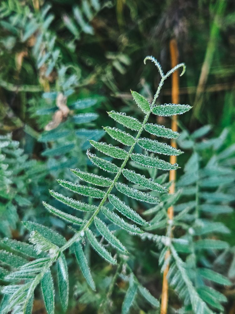 Photograph by Марина Копылова