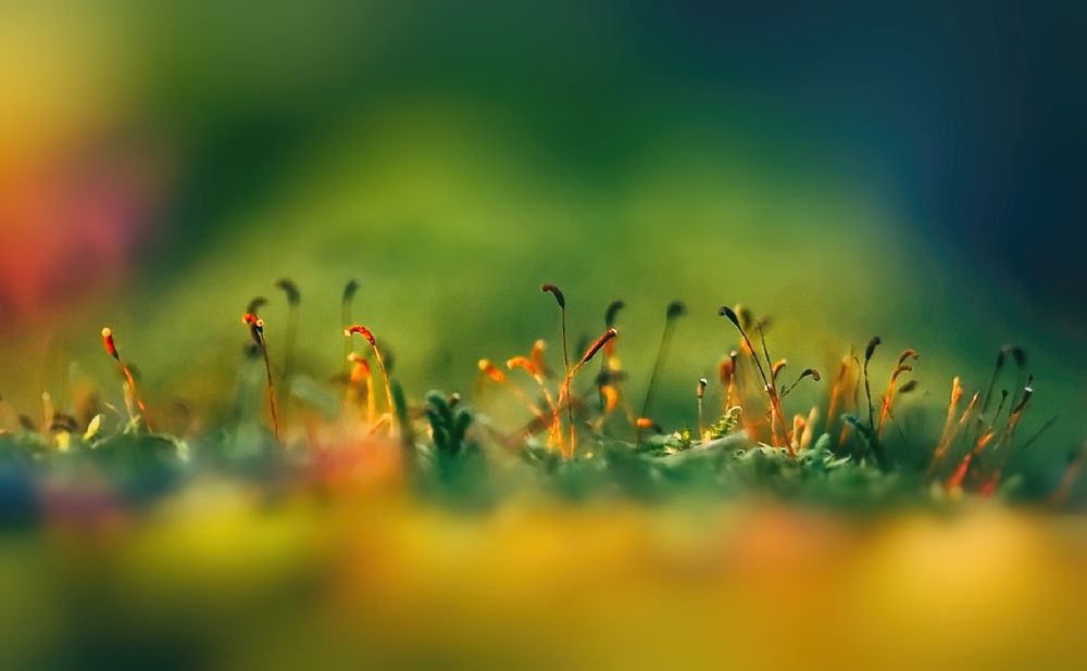 Photograph by Владимир