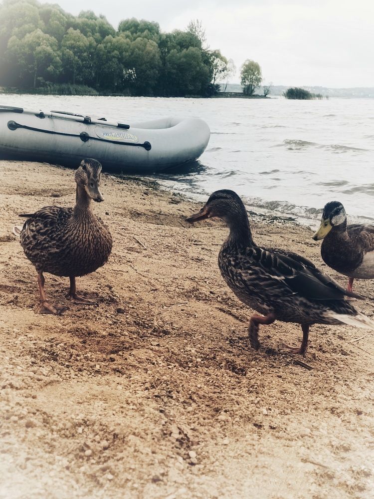 Photograph by Ксения