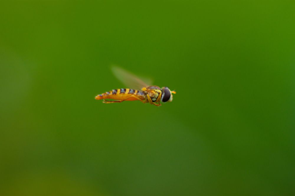 Photograph by Владислав Капанов