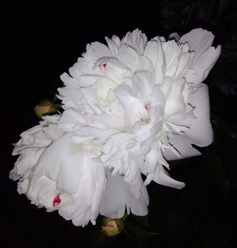 Photograph by Ирина