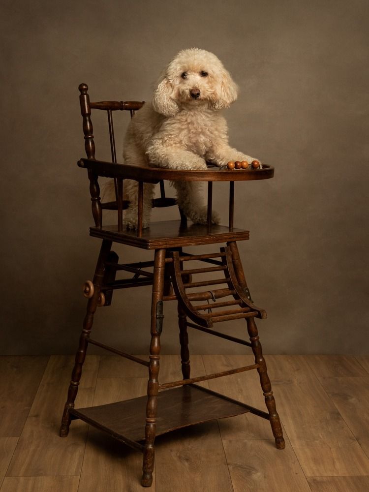 Photograph by Mònica Udina