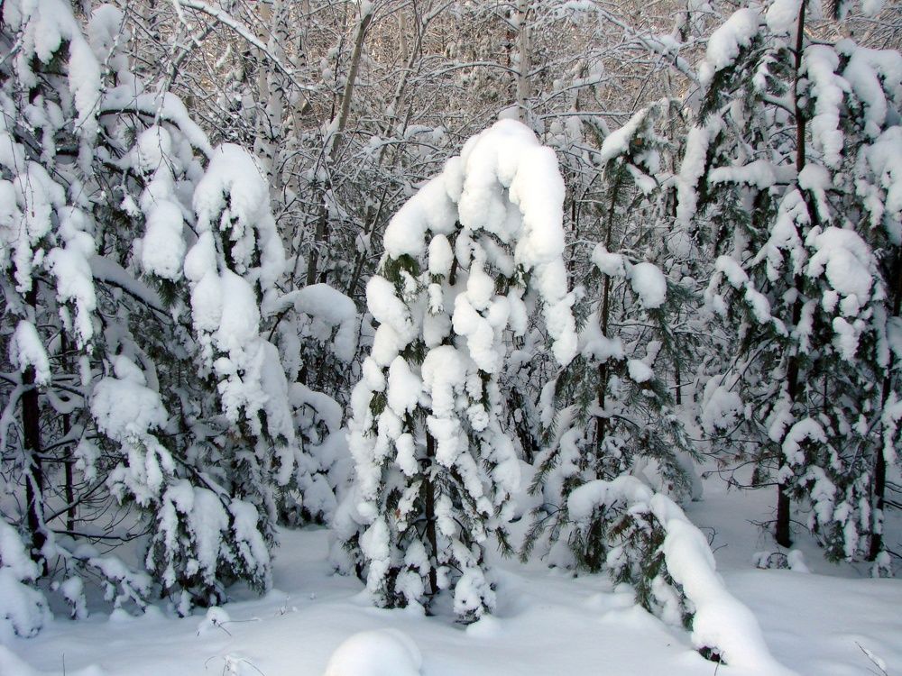 Photograph by Александр Карпенко