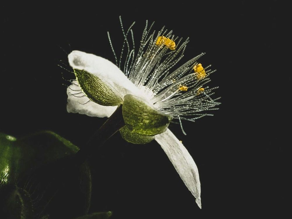 Photograph by Александра Королёва