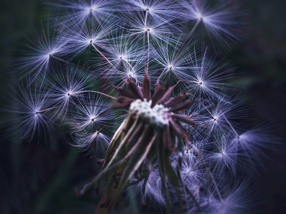 Photograph by Александра Королёва