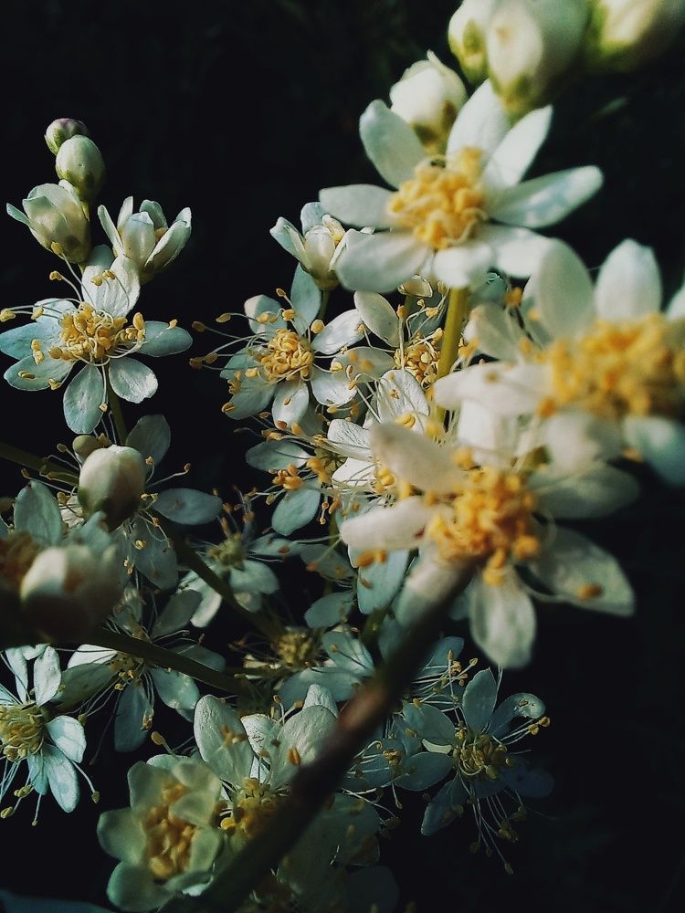 Photograph by Александра Королёва