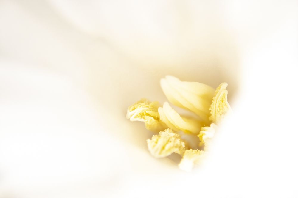 Photograph by Luca Menotti