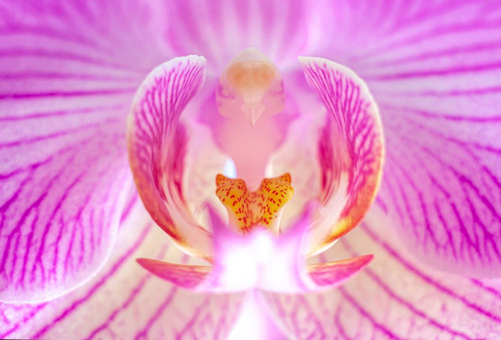 Фотография автора Валерий Елистратов