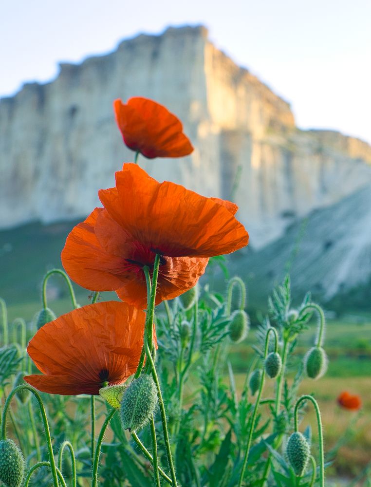 У Белой Скалы