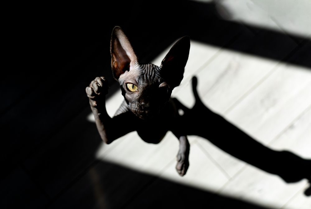 Photograph by Kylosova Elena