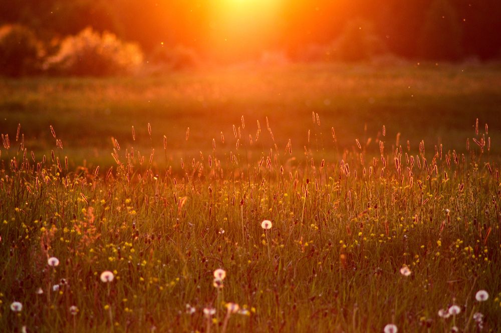 Золотой час