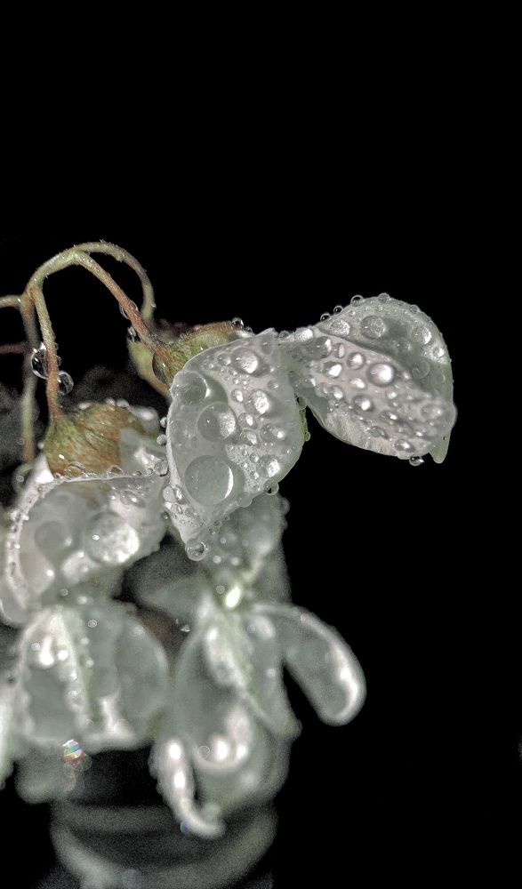 Photograph by Надежда Смирнова