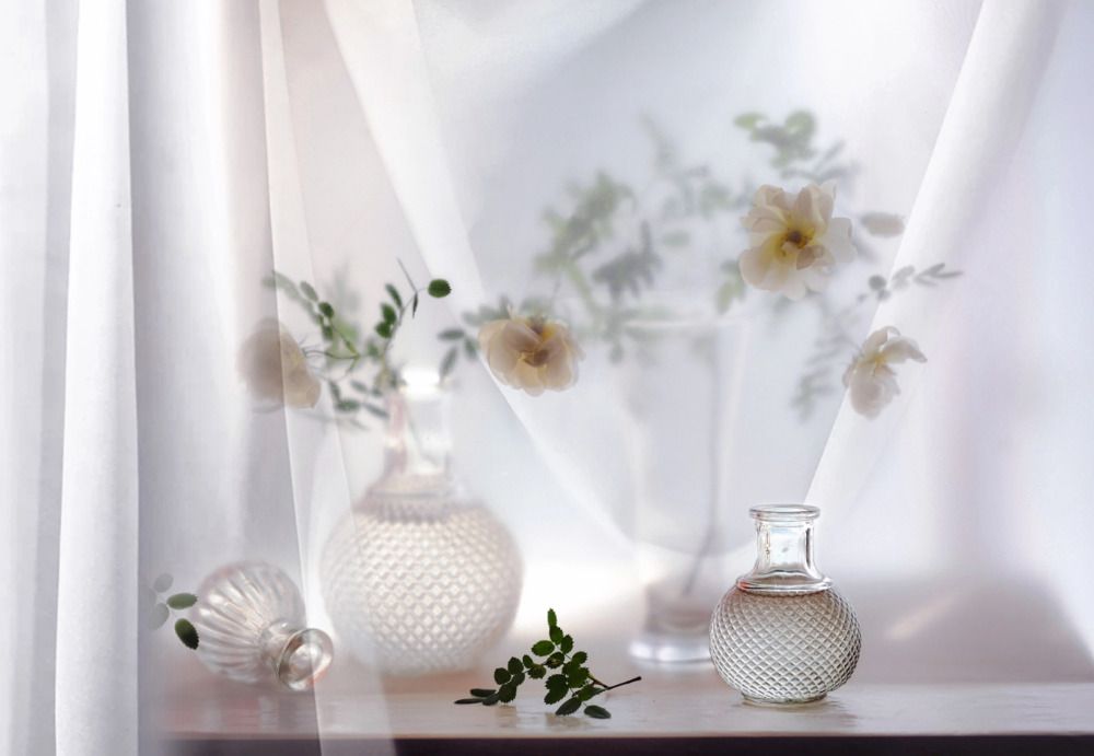 Photograph by Лариса Торопченкова