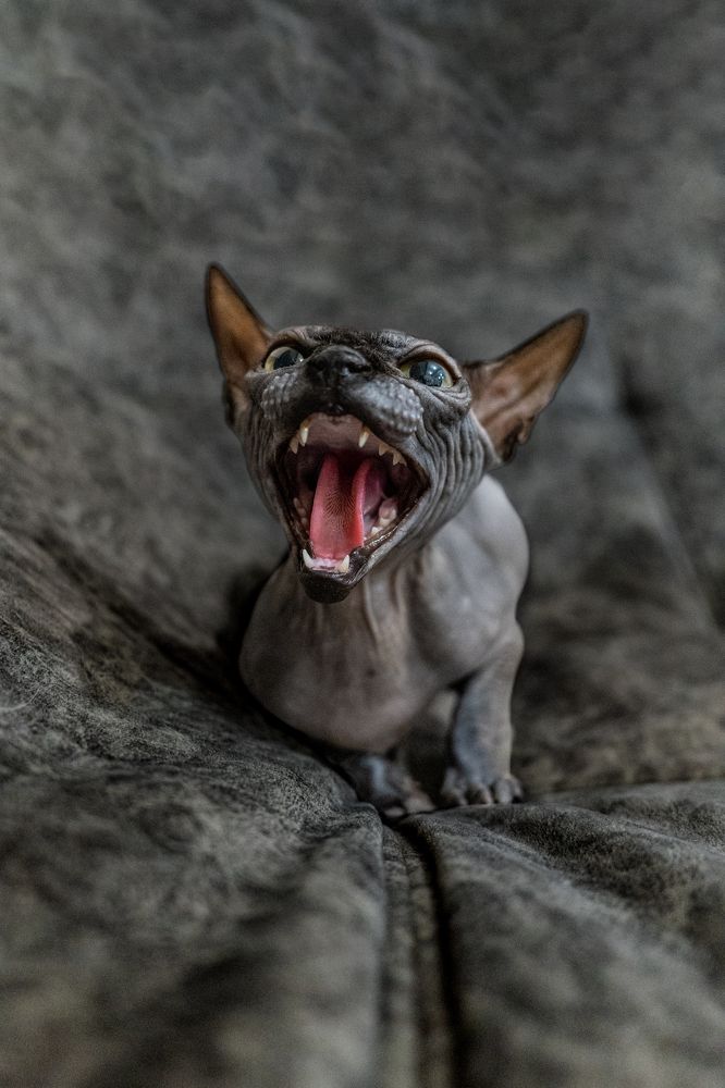 Photograph by Kylosova Elena