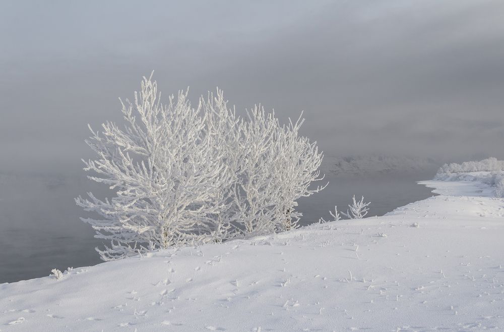 Скромные краски зимы