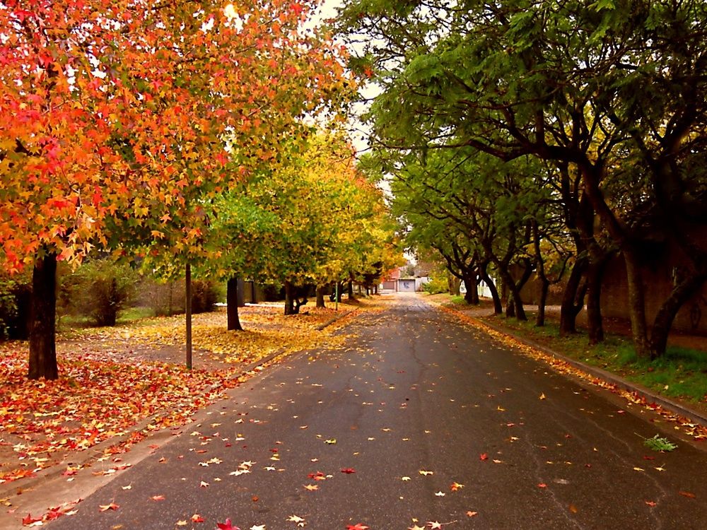 Photograph by Viviana García