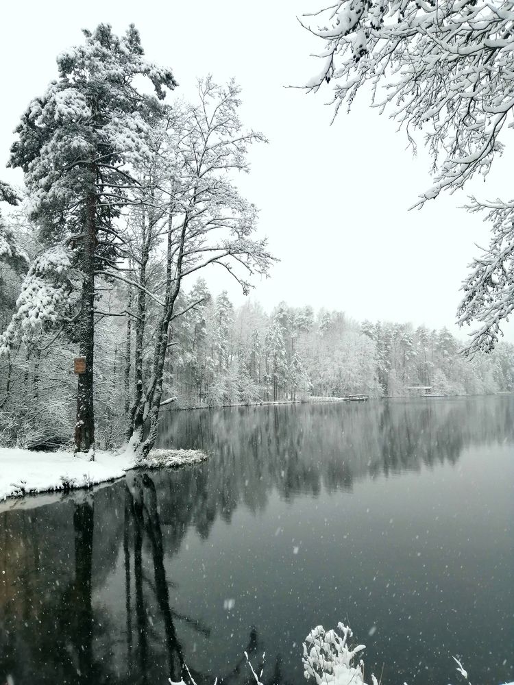 Photo #9488165