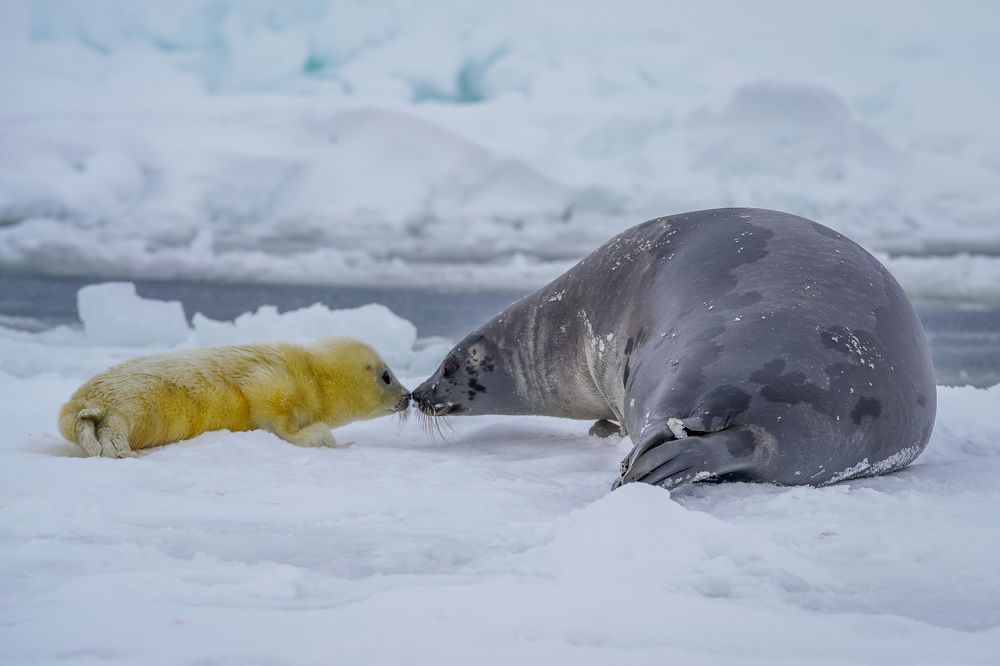 Photograph by Илья Труханов