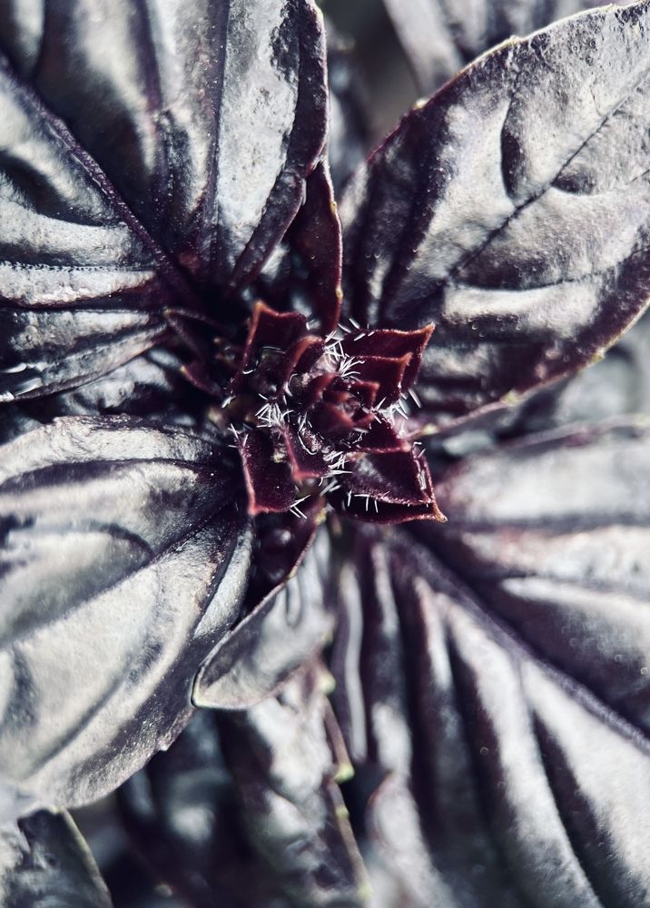 Photograph by Olga Filatova