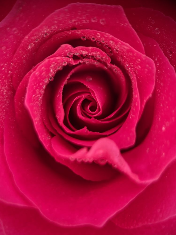 Photograph by Olga Filatova