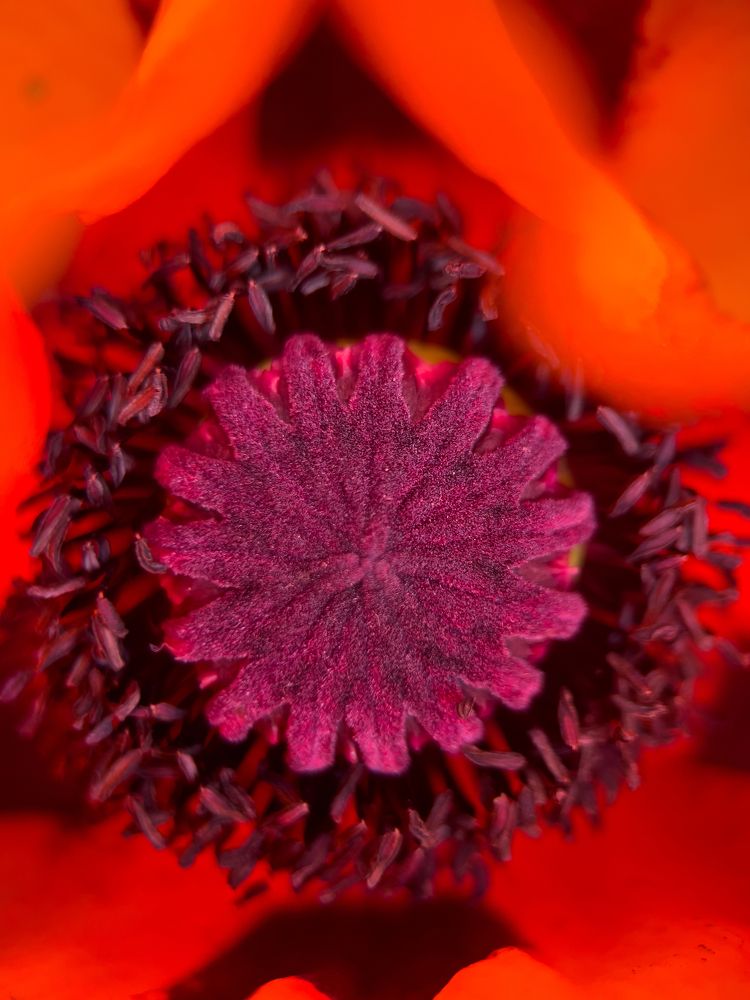 Photograph by Olga Filatova