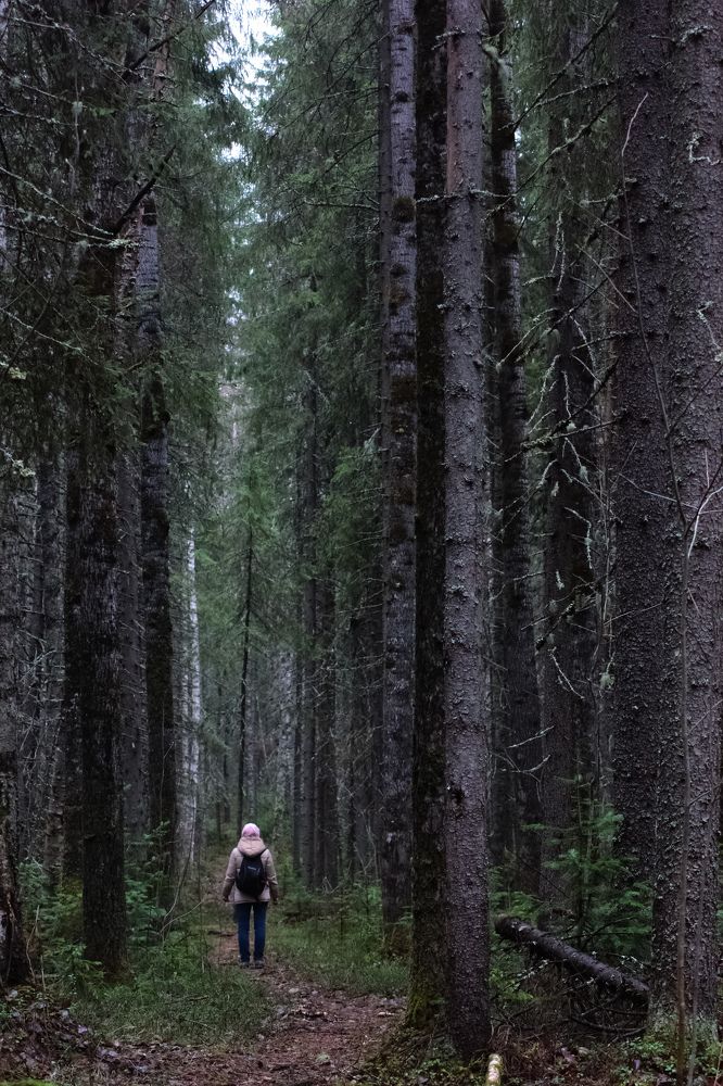 Photograph by Александра Головина