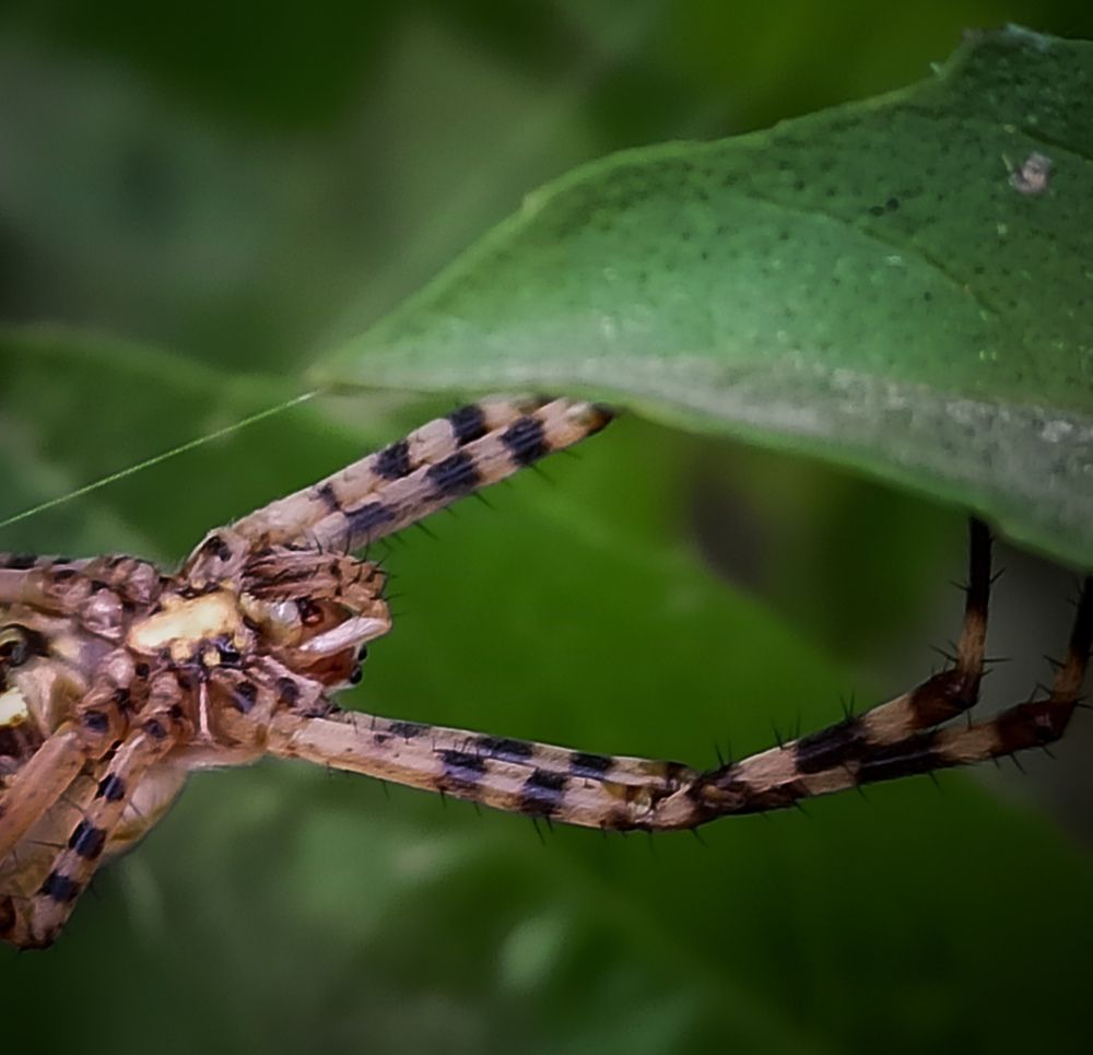 Photograph by marrcello 14