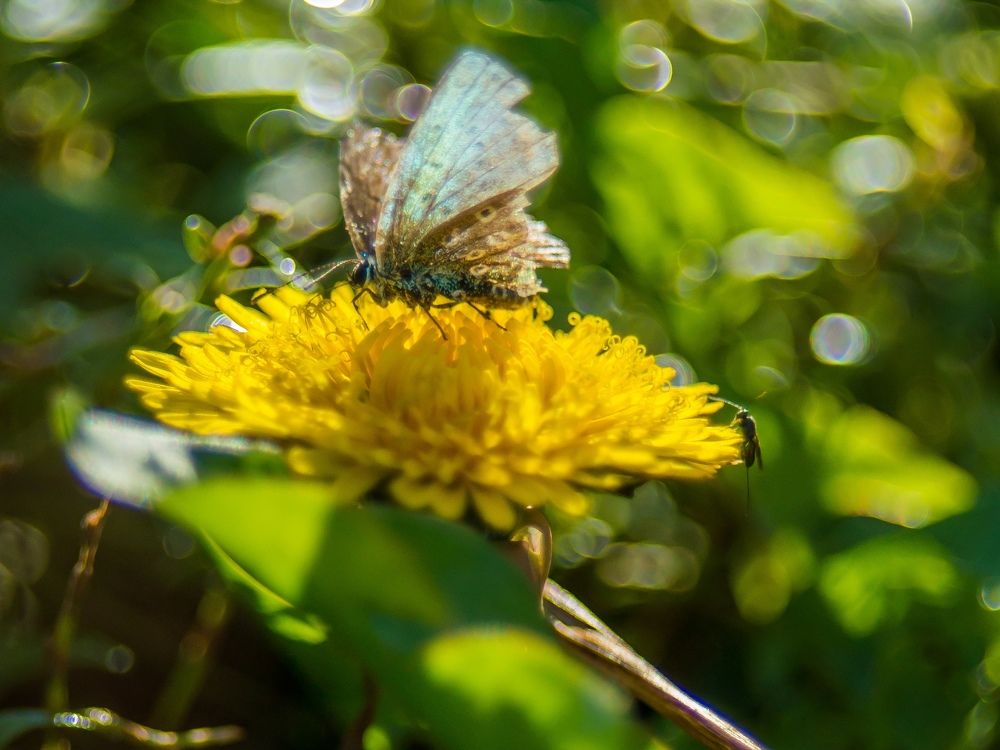 Photograph by Анастасия