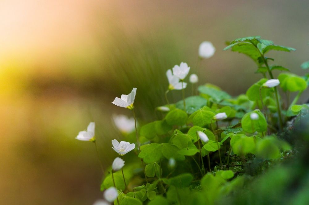 Photograph by Анастасия