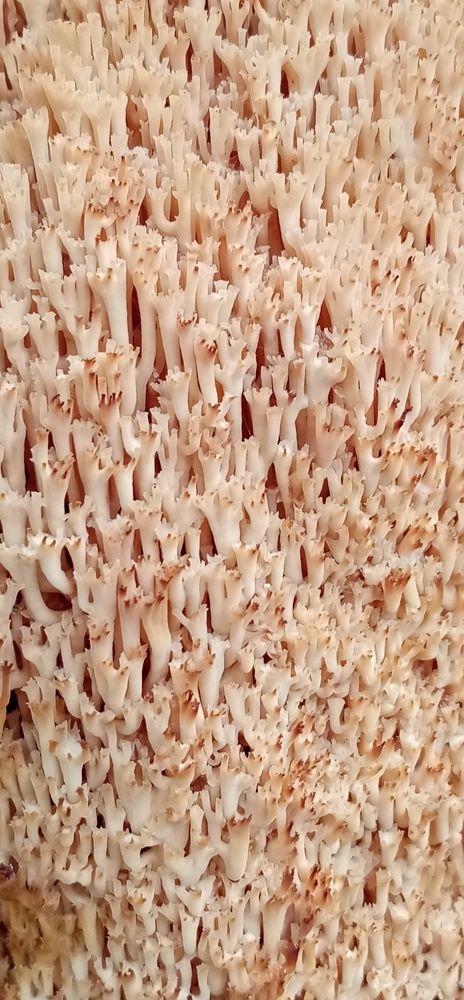 Photograph by Михаил Царикевич