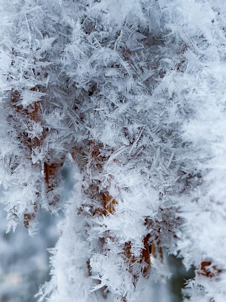 Photograph by Яна Мухина