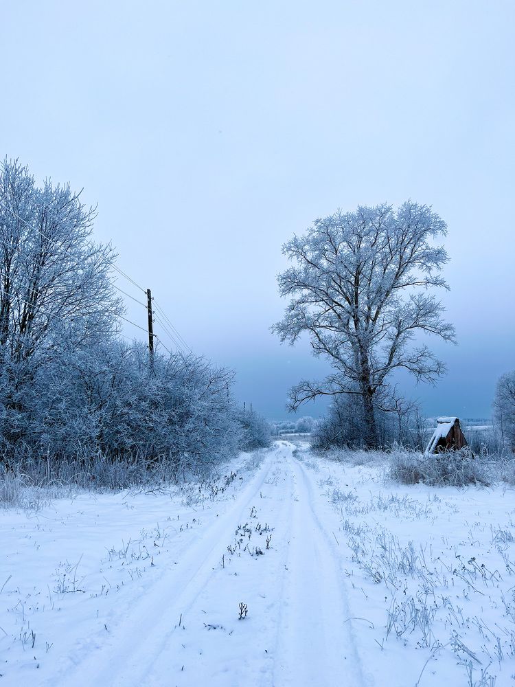 Photograph by Яна Мухина