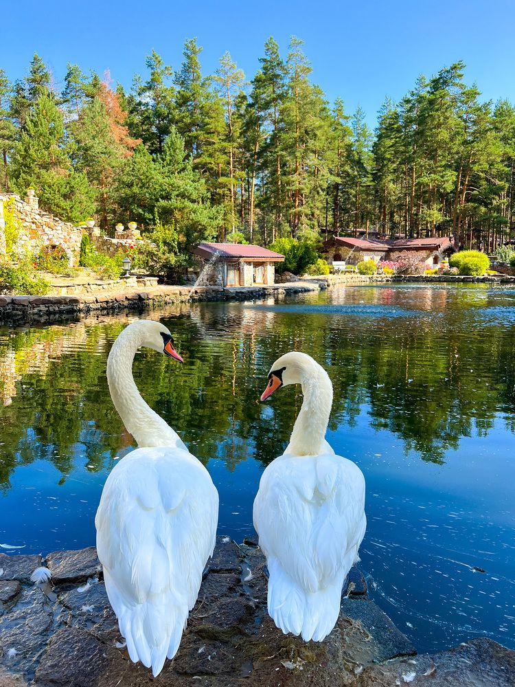 Photograph by Яна Мухина