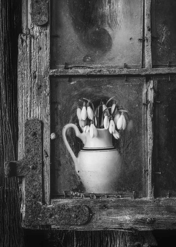 Photograph by Normunds Kaprano