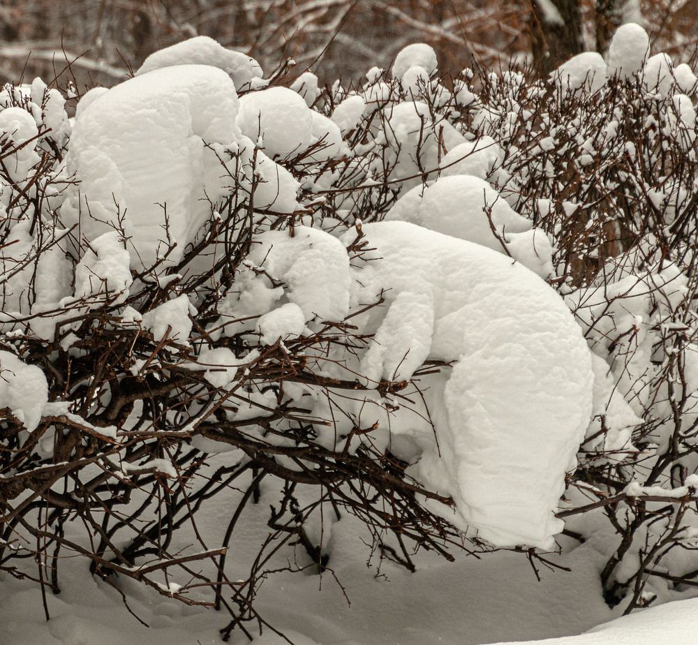 Photograph by Vladimir  Komarov