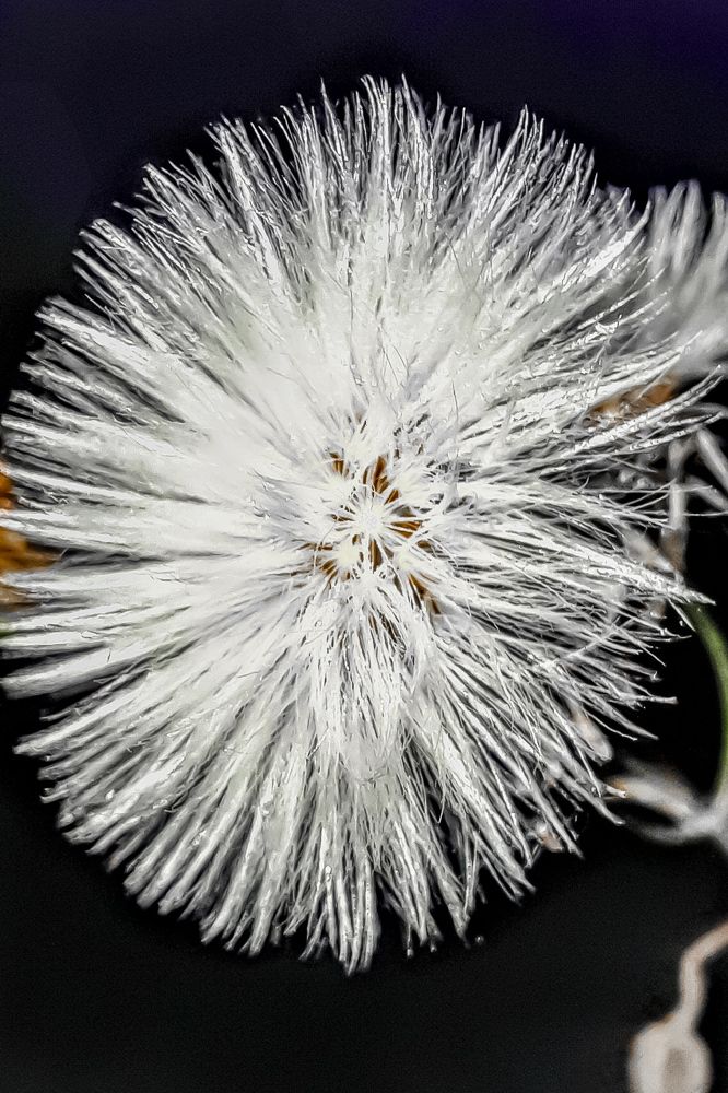 Photograph by Сергей Назаредский