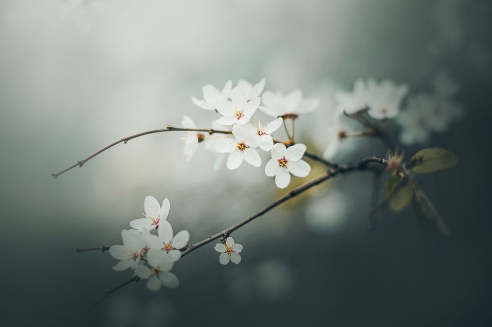 Photograph by Валерия Ватель