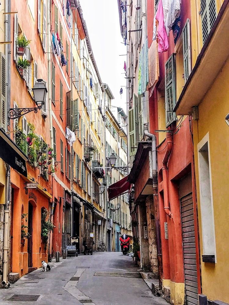 Photograph by Tatyana