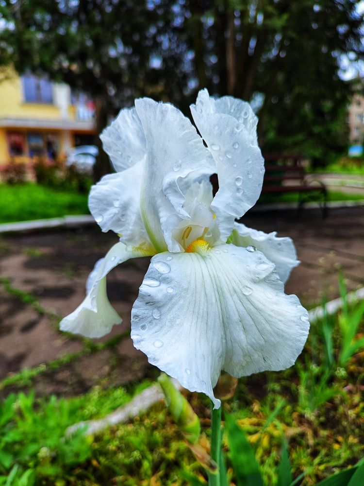 Photograph by Анна Напримерова