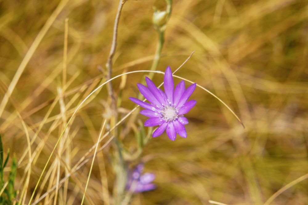 Photograph by Олег