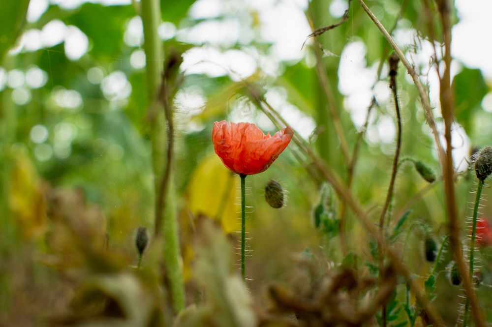 Photograph by Олег