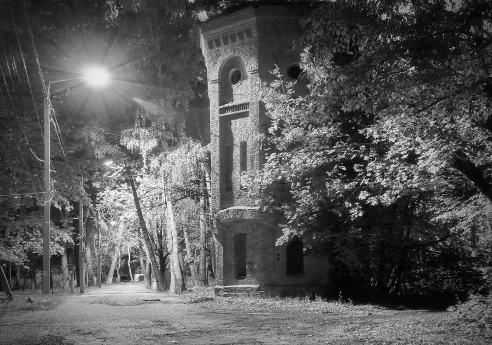 Фотография автора Панюшкин Владислав Владимирович