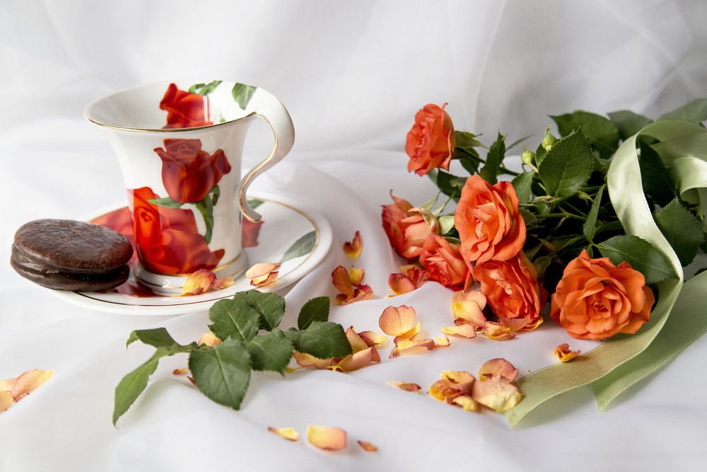 Photograph by Ольга Яскунова